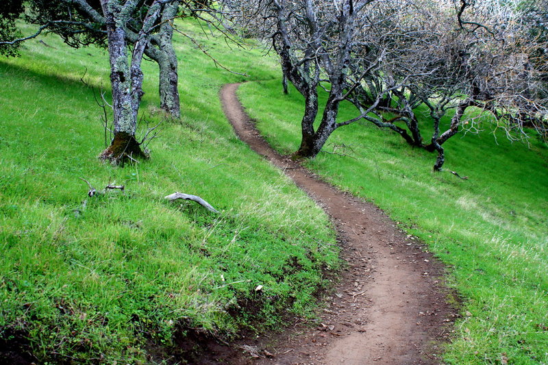 Hitting the sweet stuff at Rockville Hills Regional Park.