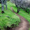 Hitting the sweet stuff at Rockville Hills Regional Park.