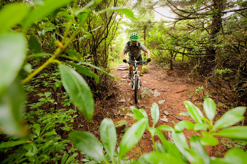 Huckleberry - a pedal-fest on Spruce Mountain