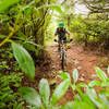 Huckleberry - a pedal-fest on Spruce Mountain