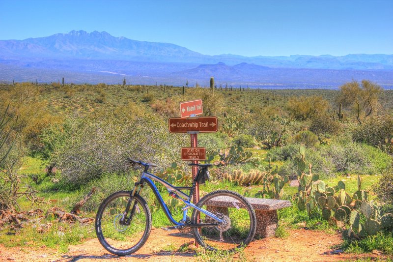 Bench for catching your breath and enjoying the view at the intersection of Coachwhip and Windmill trails