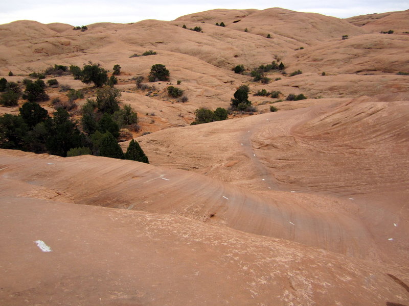 Sandstone switchbacks. Tight turns on the Slickrock Trail.