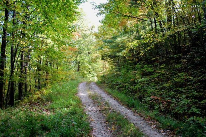 Doubletrack on Schoolhouse Ridge Road