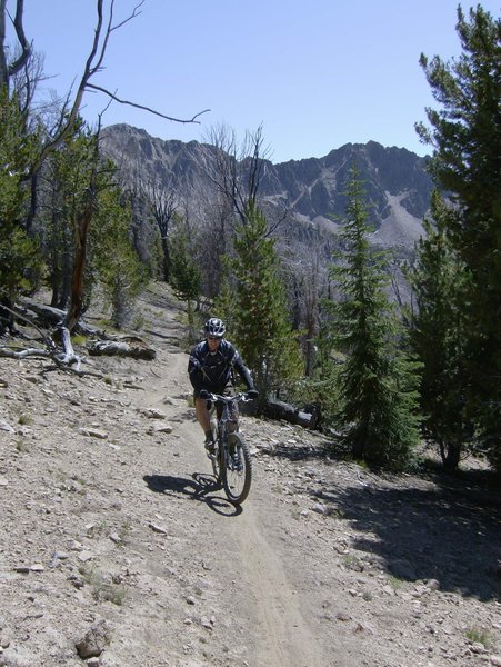 Last leg of the climb to Antz Basin overlook