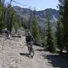 Last leg of the climb to Antz Basin overlook