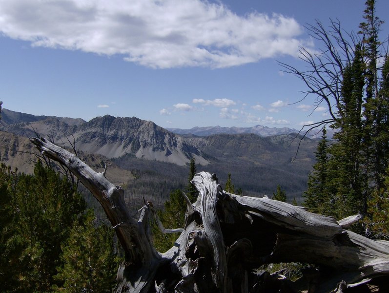 Looking back across Decker Flats toward the Sawtooth Mountains.