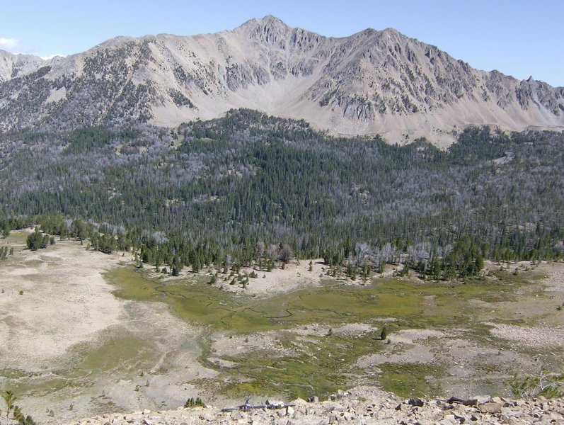 Top of the ridge looking into Antz Basin. Spread My Ashes Here!