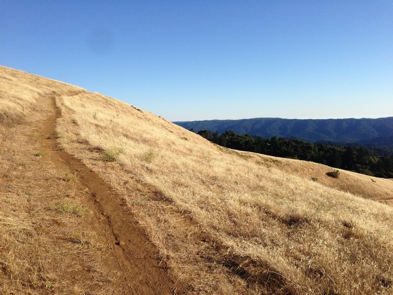 Russian Ridge, Ridge Trail