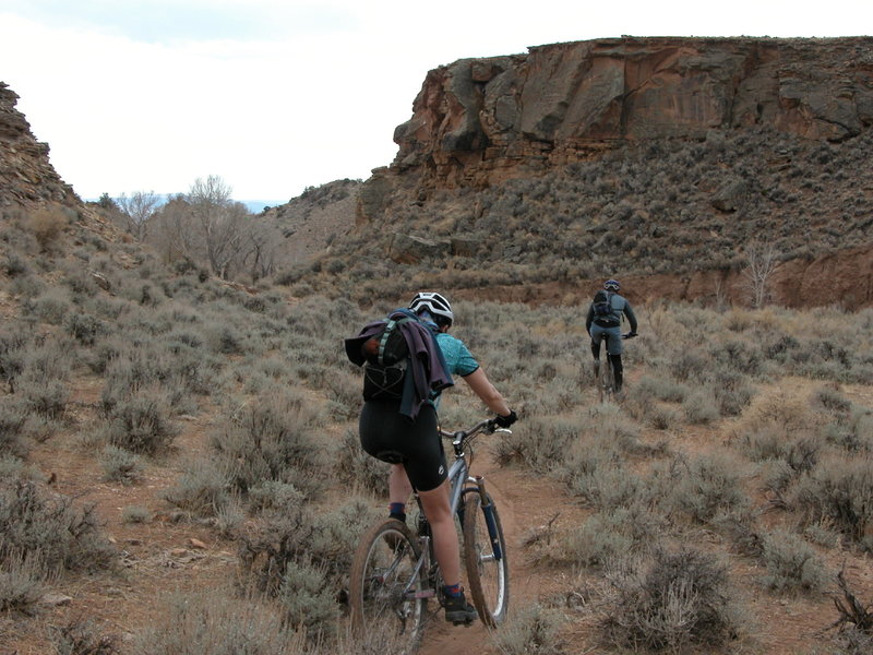 The upper reaches of the Redneck Jungle trail gets a bit wilder and the trail is less traveled.