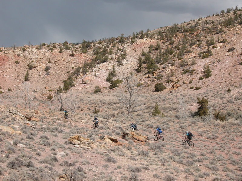 On the Redneck Jungle trail before the Dry Creek valley tightens up.