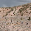 On the Redneck Jungle trail before the Dry Creek valley tightens up.