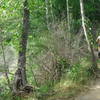 A view of the old gravel pit.