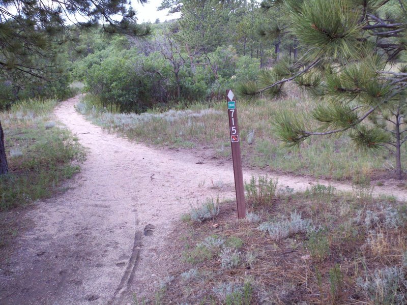 715 trail meets Schilling Ave.  This is taken looking west from Schilling.