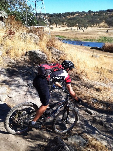 Finishing out Rock Garden the fun way.