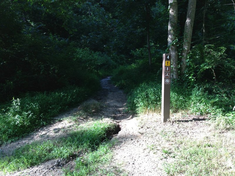 Trailhead from the main paved path