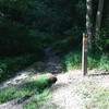 Trailhead from the main paved path