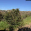 A panoramic shot of the view while you climb Mustard Road
