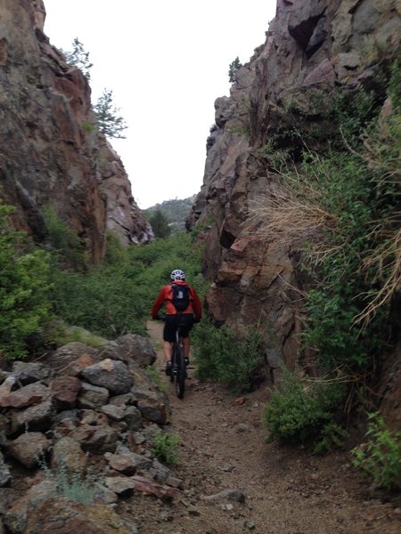 Riding through a narrow gulch along the trail