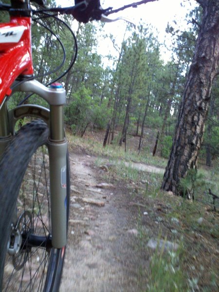 View of Schilling Trail, which parallels Schilling Avenue, a nice fast segmen with some minor obstacles - mostly water bars and some minor rock bumps.