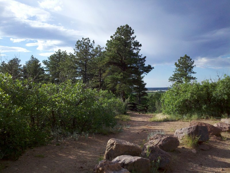 Turn off from Mount Herman Road to 7400 Trail (and others).  This area is a major trail junction.