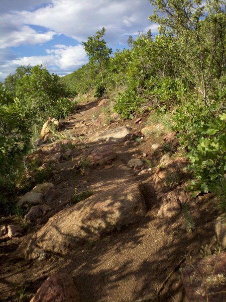 Rocky 7400 trail through the scrub oak.