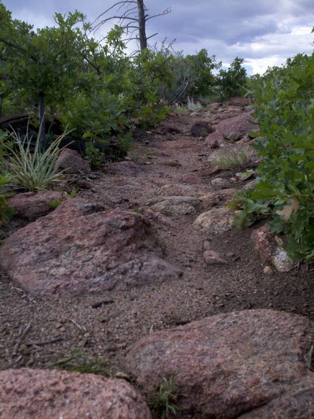 Rocky scrabble along 7400 Trail.  There are several lengthy sections of rock such as this one.  This is what makes this an intermediate rather than a beginner trail.