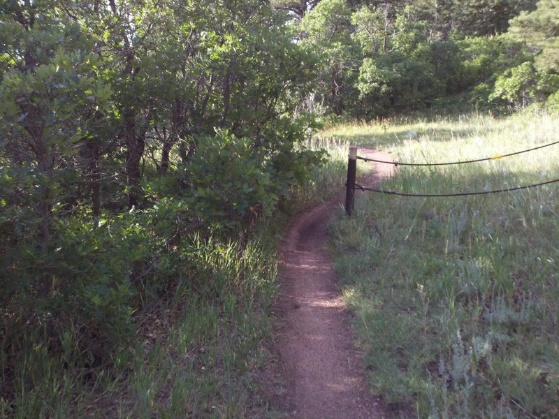 metal fence along short connecting trail between Red Rocks Road and Mount Herma Rd.