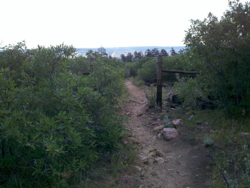 Gate Post on Trail 715.