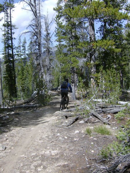 Head West Down Hill to follow Warm Springs Creek Trail to the Meadow.