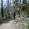 Head West Down Hill to follow Warm Springs Creek Trail to the Meadow.