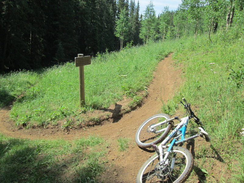 swooping singletrack