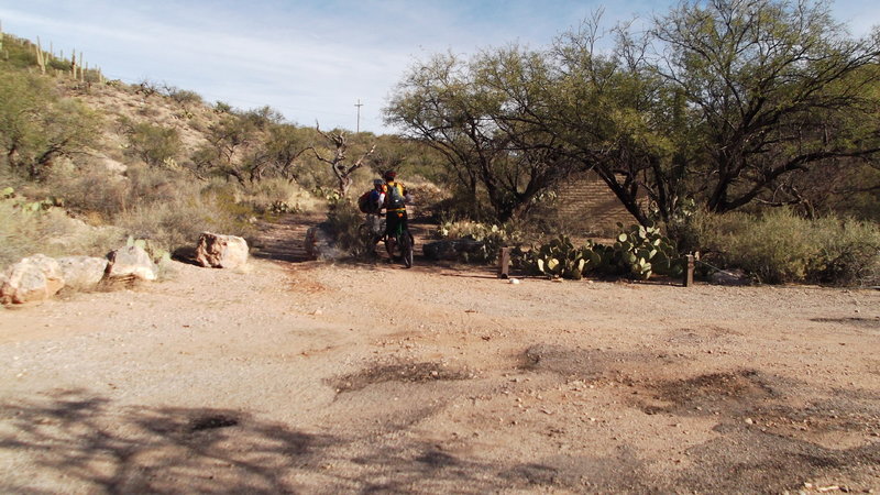 In Colossal Cave Park