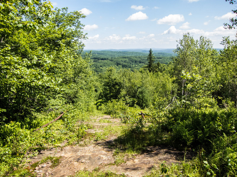 The trail follows the exposed rock. Too bad that the trail is rather overgrown.