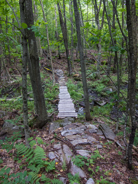 Nice trail work an the end of "The Dude abides"