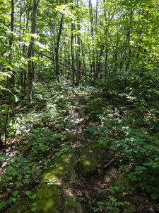 There is a trail here, it runs over these rocks. There's lots more like this on "The Dude Abides"