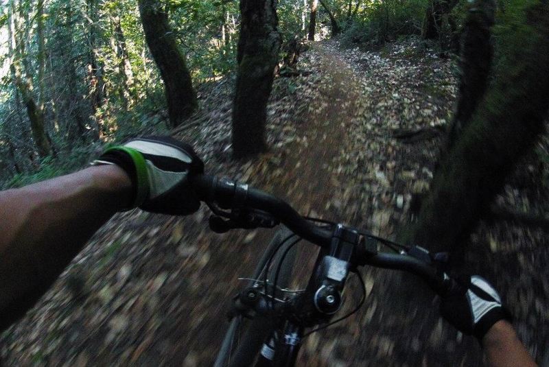 Riding through awesome singletracks!