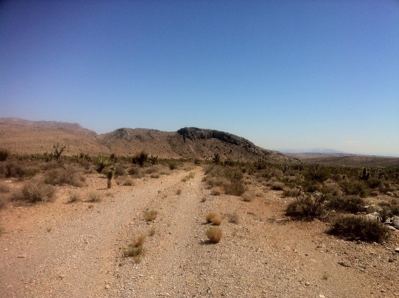 Looking back on a section of doubletrack on the Old Spanish Trail