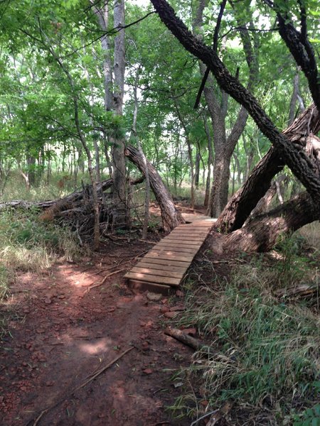 Trail into the trees.