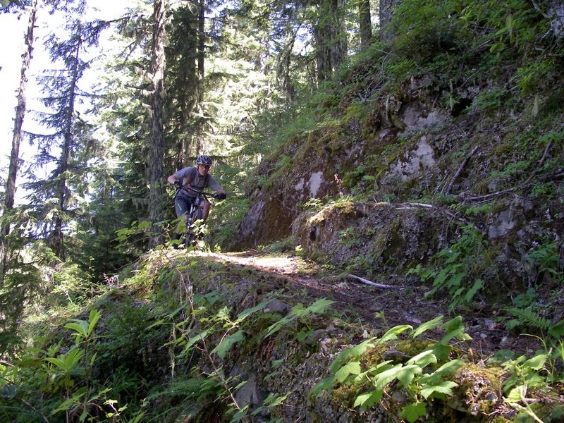 Rock walls built nearly 100 years ago by the Civilian Conservation Corps.