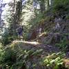 Rock walls built nearly 100 years ago by the Civilian Conservation Corps.