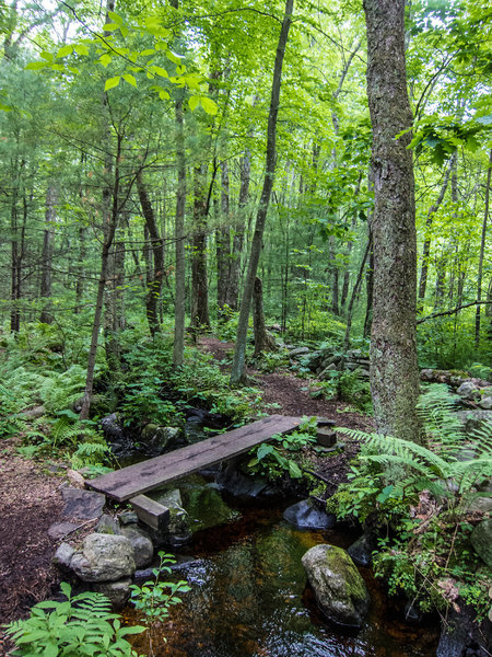 Nice little bridge in Steele Farm (Boxboro, MA)