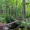 Nice little bridge in Steele Farm (Boxboro, MA)