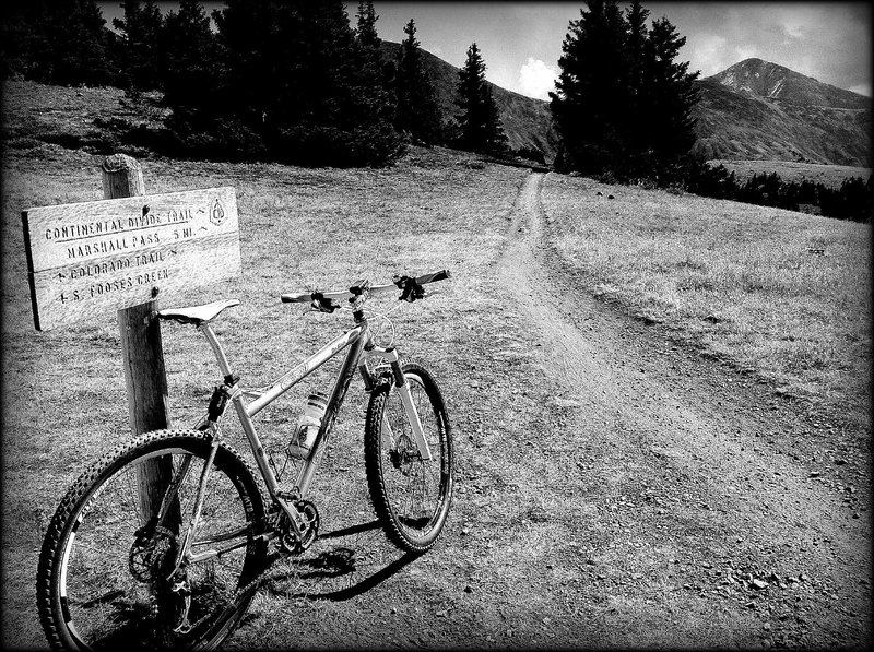 Intersection of the South Fooses Creek Trail and Monarch Pass Trail