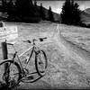 Intersection of the South Fooses Creek Trail and Monarch Pass Trail