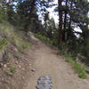 Once lower on the trail, many of the big rocks go away, leaving a wide singletrack, mostly smooth