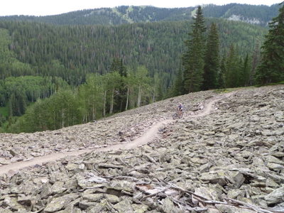 Tallus/Rockslide in summer.