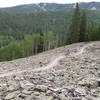 Tallus/Rockslide in summer.