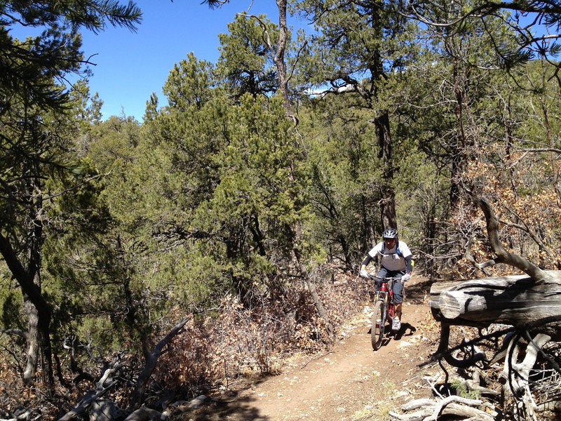 Just above the switchback with the tough step below it.