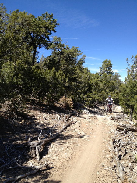 The smooth climbing on the southern end of Blue Ribbon.