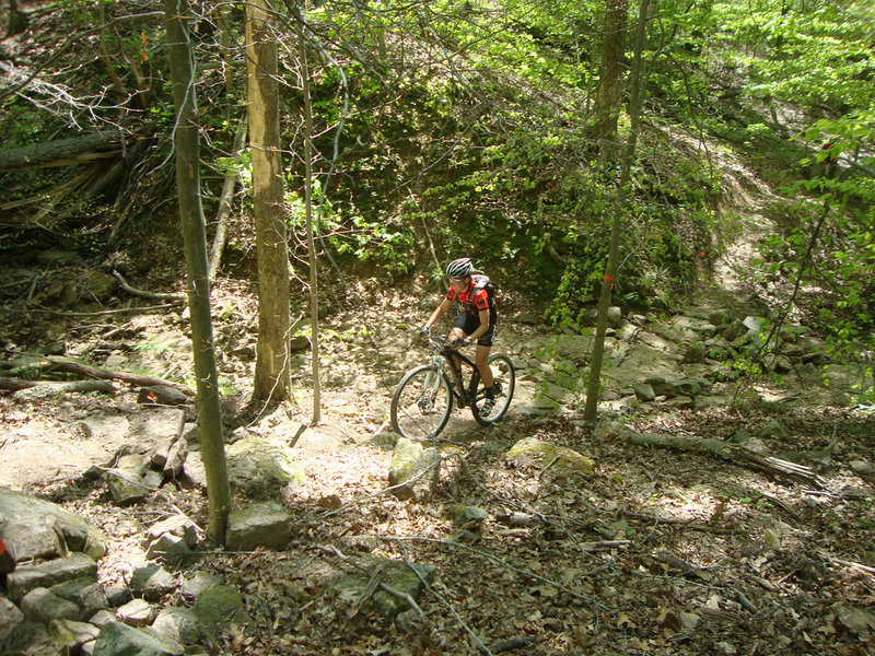 Rocky creek crossing